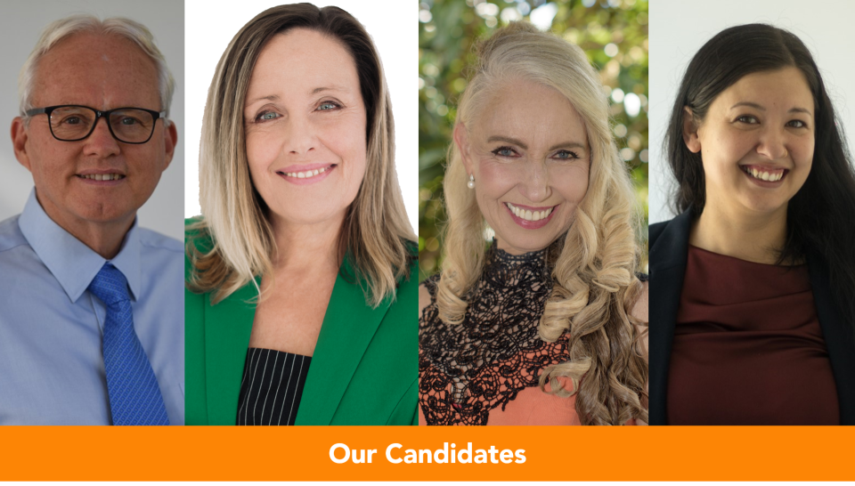 website-candidates-picture.png